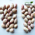 Bean Harvester,kidney Beans Market Price